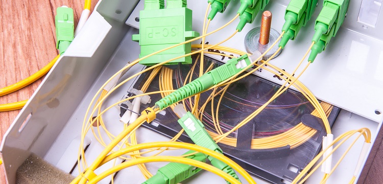 復(fù)旦大學(xué)公共衛(wèi)生報(bào)考指南?公共衛(wèi)生服務(wù)車配置參數(shù)|公共衛(wèi)生服務(wù)車價(jià)位價(jià)格大全 健明迪檢測