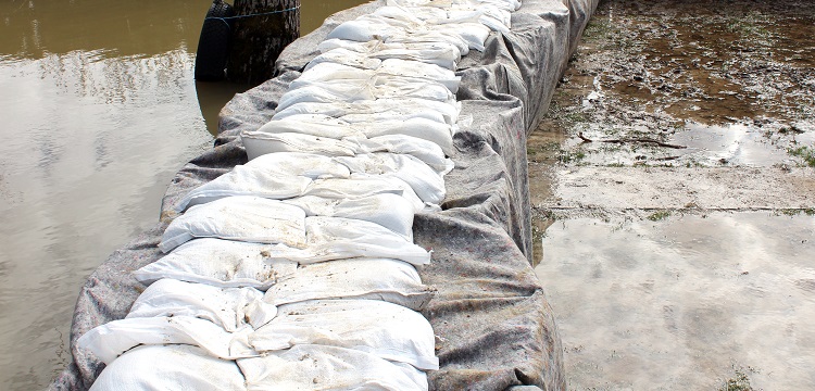 毒情監測-污水驗毒檢測