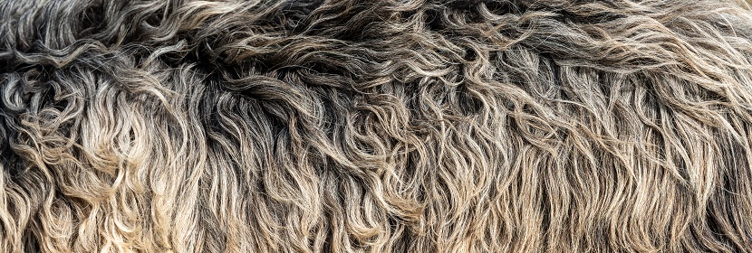 ROHS檢測產(chǎn)品范圍和ROHS需要準(zhǔn)備的資料?ROHS檢測認證是什么