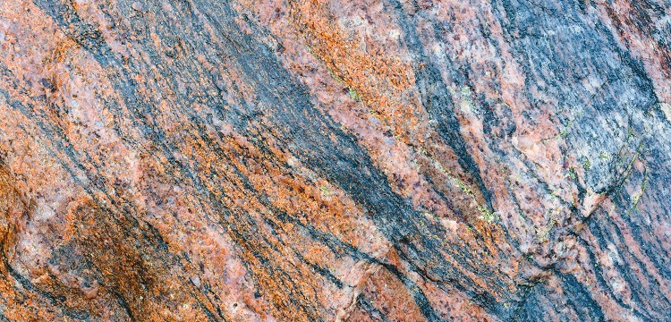 2022年廣東省最新林業碳匯申報要求匯總：方法學、申報模板、材料清單