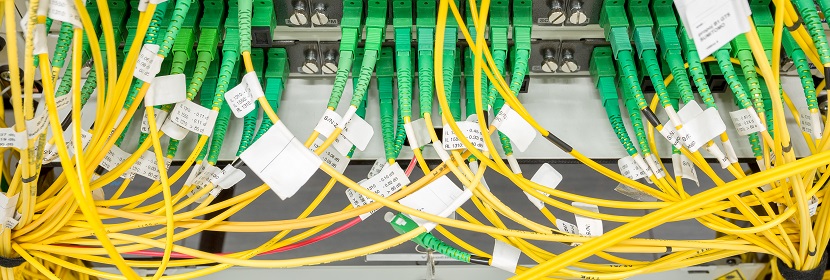 公共衛生考研，這是最好的時期！??！?【2022為民實事系列評論】筑牢公共衛生防護網，是須臾不可放松的大事 健明迪檢測