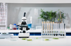 食品接觸材料檢測(cè)