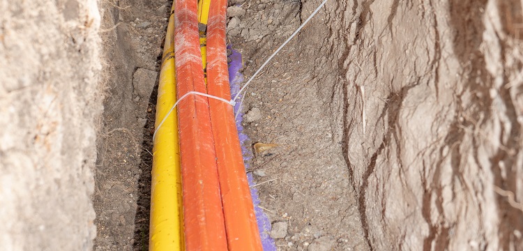 漆膜抗藻性測定