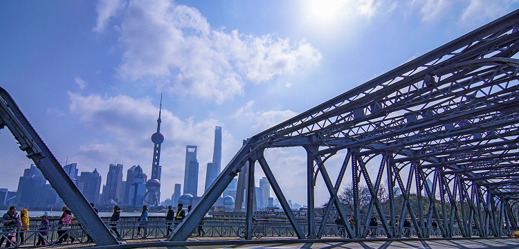 人大細胞肺癌H460紅色熒光標記腫瘤模型