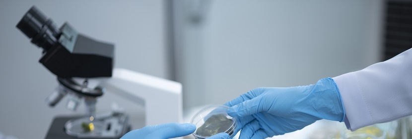 光學(xué)特性檢測