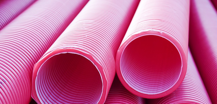 小劑量鏈脲佐菌素誘導的糖耐量異常大鼠