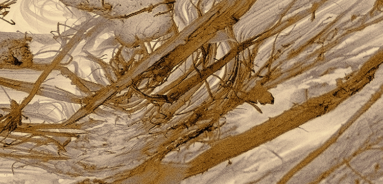 氧化誘導(dǎo)時間檢測