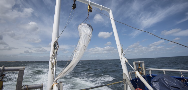 鋰離子負極材料檢測