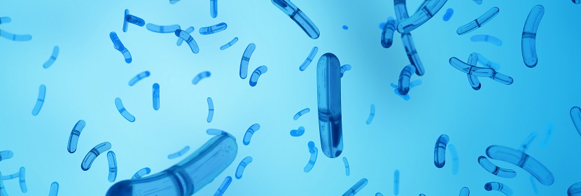 細菌回復突變試驗