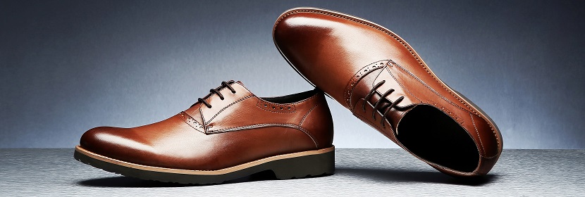 細菌/真菌MLST分型服務