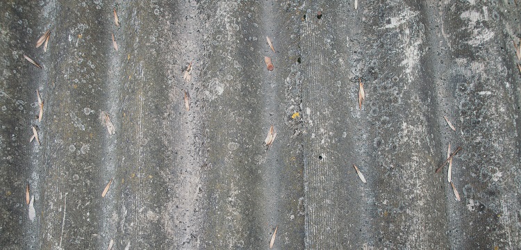 食品成分分析檢測(cè)還原