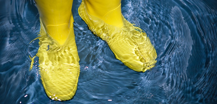 彗星實(shí)驗(yàn)