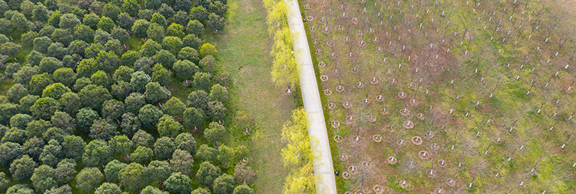 水土保持監(jiān)測