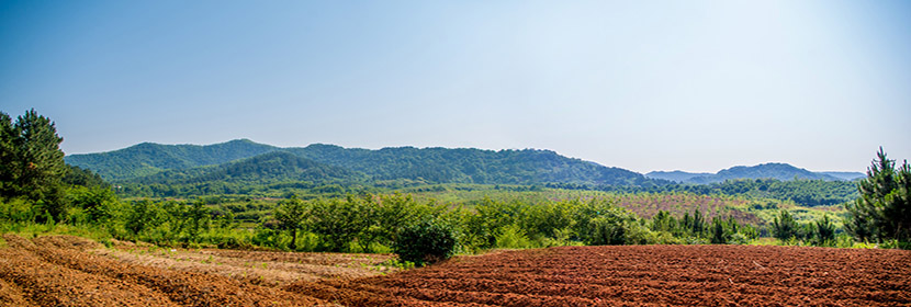 耕地質量評價檢測