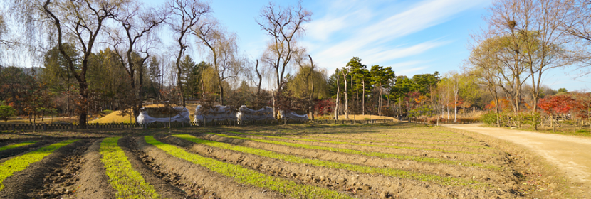 污染場地調(diào)查