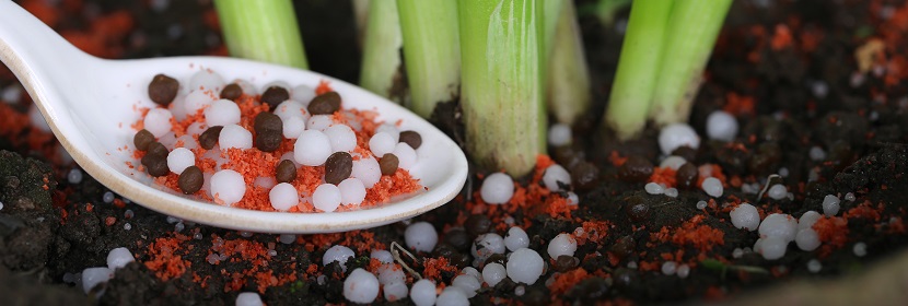 肥料有害物質檢測