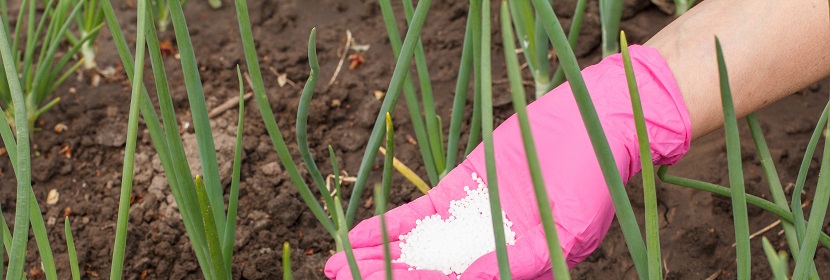 膏狀化肥防結塊劑檢測