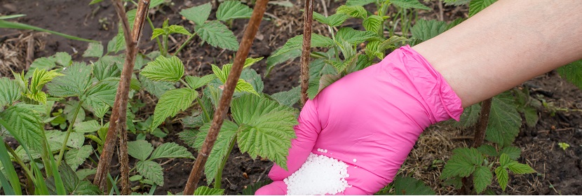 控釋氮肥檢測檢測