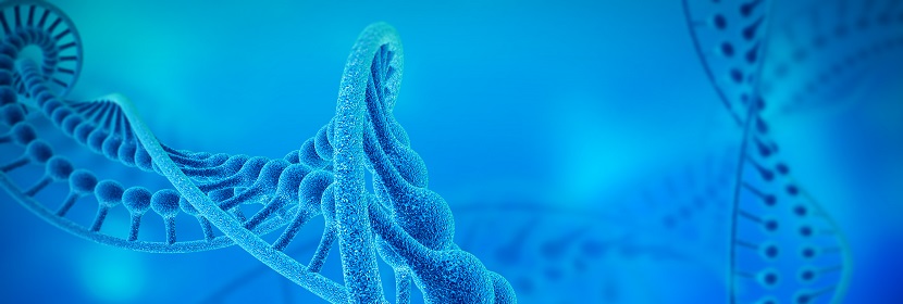 化妝品體外哺乳動(dòng)物細(xì)胞基因突變?cè)囼?yàn)