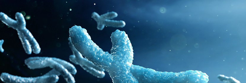 化妝品哺乳動物骨髓細胞染色體畸變試驗