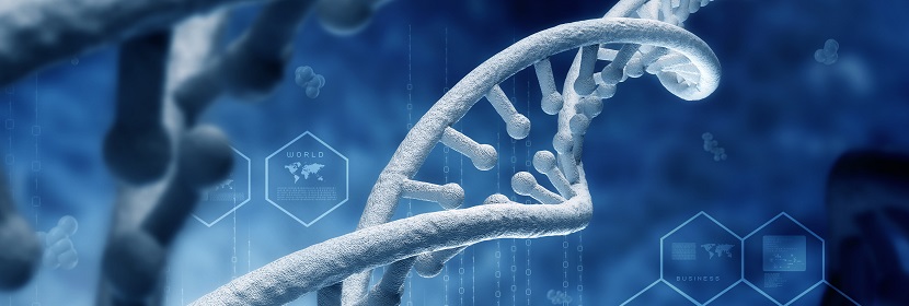 化學品染色體畸變試驗