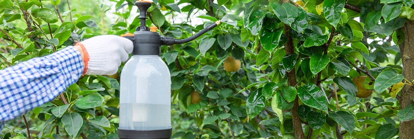 農藥登記毒理學試驗